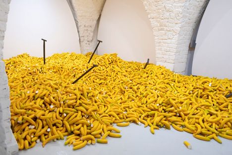 Daily Practice | 2019 | Installation
