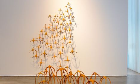 Invasion | 2018 | Installation 